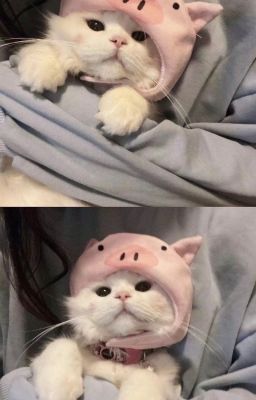 [JsolNicky] Động Thăng Thiên 🔞