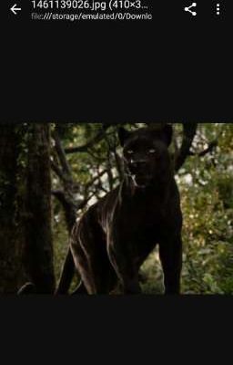 Jungle book RP