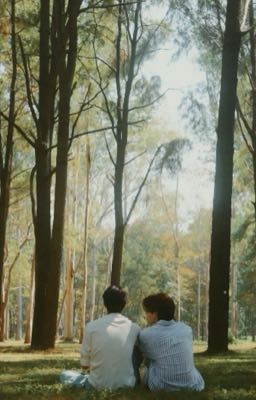 juniormark • L - H relationship