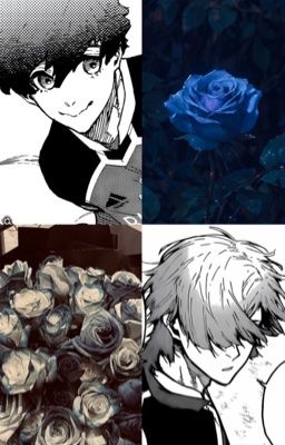 [Kainess] : Blue rose