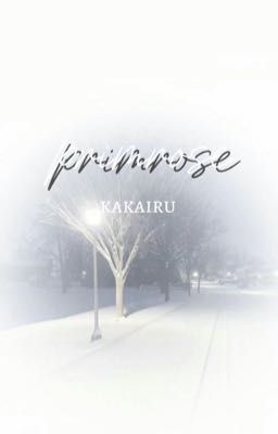 kakairu | primrose