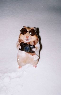 Keonhoon | Missing roommate