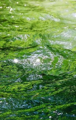  keonhoon | thuở ấu thơ 