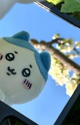 [keonhoonhyeon] bùng binh binh 