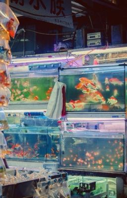 keonhyeon | chia tay