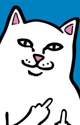 keonhyeon - Dịch vụ