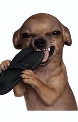 [kh]chín mõm