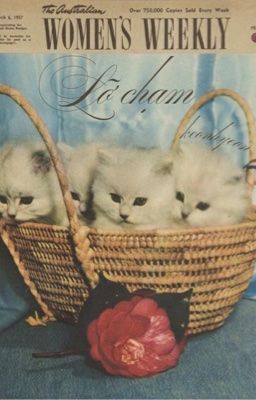 kh; lỡ chạm