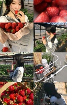 kh.Soda việt quất