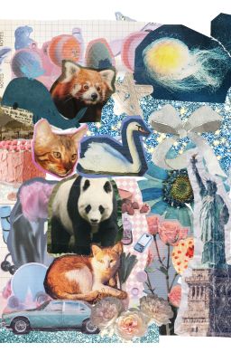 Khi Ghost Ship là một đôi thật