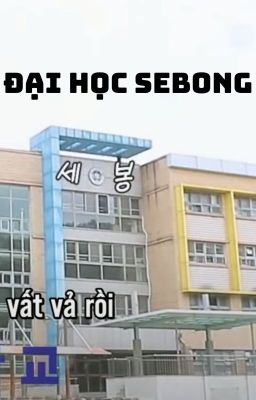 KHI SEVENTEEN ĐI HỌC |TEXTFIC|