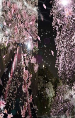 không đính chính