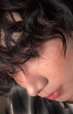 không được yêu con chó đó