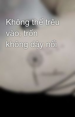 Không thể trêu vào, trốn không dậy nổi