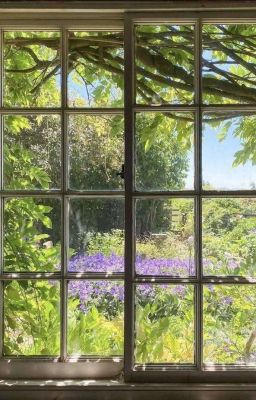 Khúc hát trên sân thượng