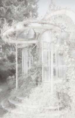 Khúc Mộng Dưới Làn Sương Sớm 