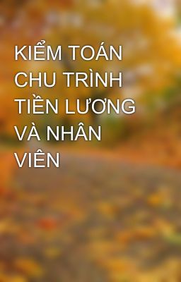 KIỂM TOÁN CHU TRÌNH TIỀN LƯƠNG VÀ NHÂN VIÊN