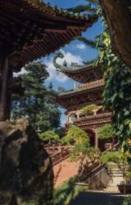 Kiếp chung chồng ( bản up lại )