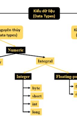 Kiểu Dữ Liệu Trong Java - Phân Loại & Ví Dụ