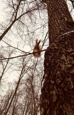 kiincuzz ✦ it might be wind