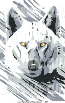 Killerwolf's OC rater