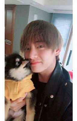 KimTaeHyungxFanGirl [ V và Bạn ]  - Giữa tôi và cậu ta, em chọn ai? [ H+ | SM ]