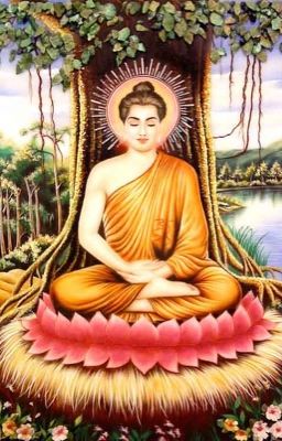 Kinh CÁC CĂN BẢN BẤT THIỆN - Mula Sutta