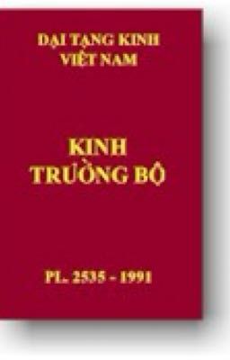 Kinh trường bộ 