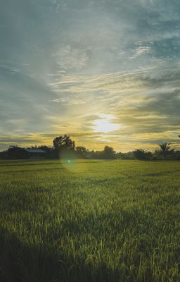 [kiraxkuro] Ác Quỷ Trong Tôi