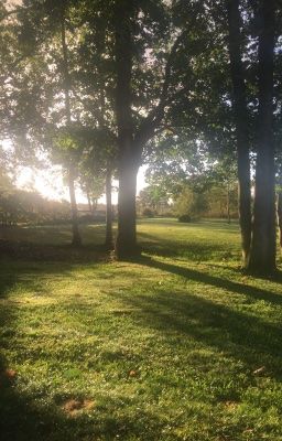 KisaKijay  | love or friend?