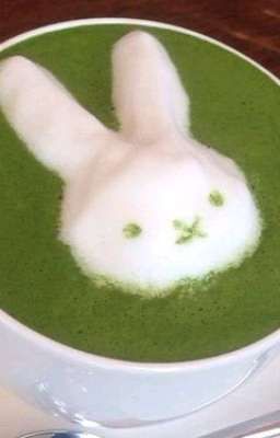 kisakijay ; sweet matcha melody 