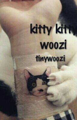 kitty kitty | woozi