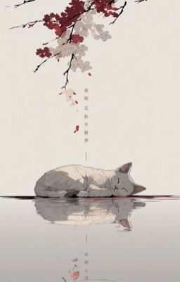 Kngwean | Thổ lộ 