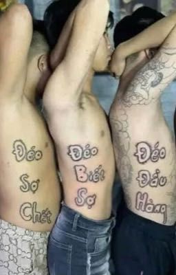 ko có ở wp, chỉ có ở gg