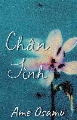 [KookMin][ABO] Chân Tình