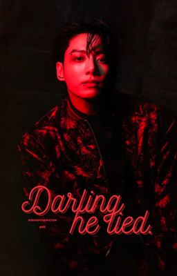 KOOKMIN [H] [TWOSHOT] - DARLING, HE LIED