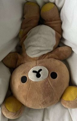 ks| Teddy Bear.