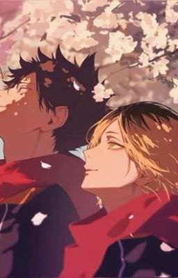 #Kuroken: Cherry Tree「made by meomeo」