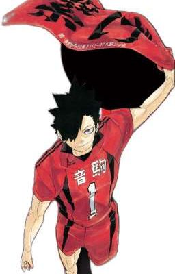 [Kuroo Tetsuro × Reader] Hatsukoi