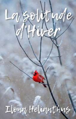 La solitude d'Hiver