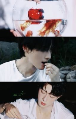 [Lang Đồ] Fanfic Thèm muốn - Tỉnh mộng
