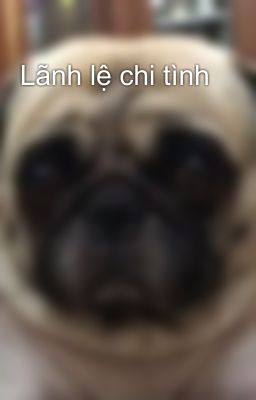 Lãnh lệ chi tình