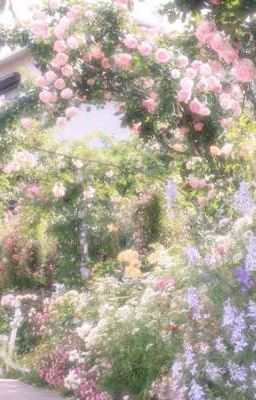 Lck | Hoa Và Pha Lê