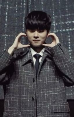 [LCK] Trường mầm non Alpaca