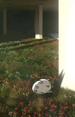 [LCK x Reader] Dịch vụ cho thuê bạn trai theo ca