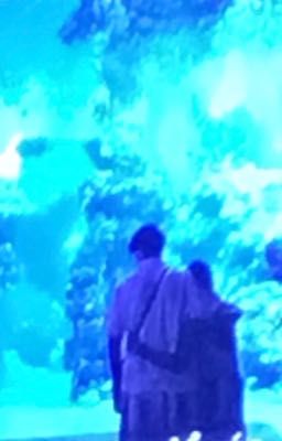 Lệ Rơi Thành Băng