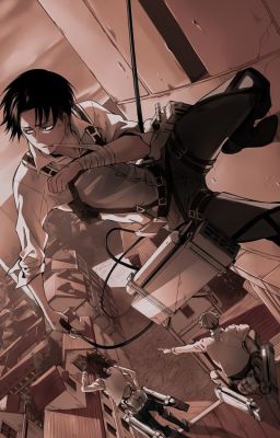 [Levi Ackerman x Reader]  Ánh Sáng Trong Đôi Mắt Anh