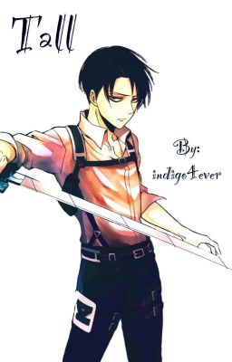 Levi x Reader