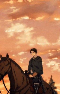 [Levi x Reader] Ngày Đó, Chúng Ta