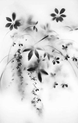 [LH]Étoiles Apprivoisées